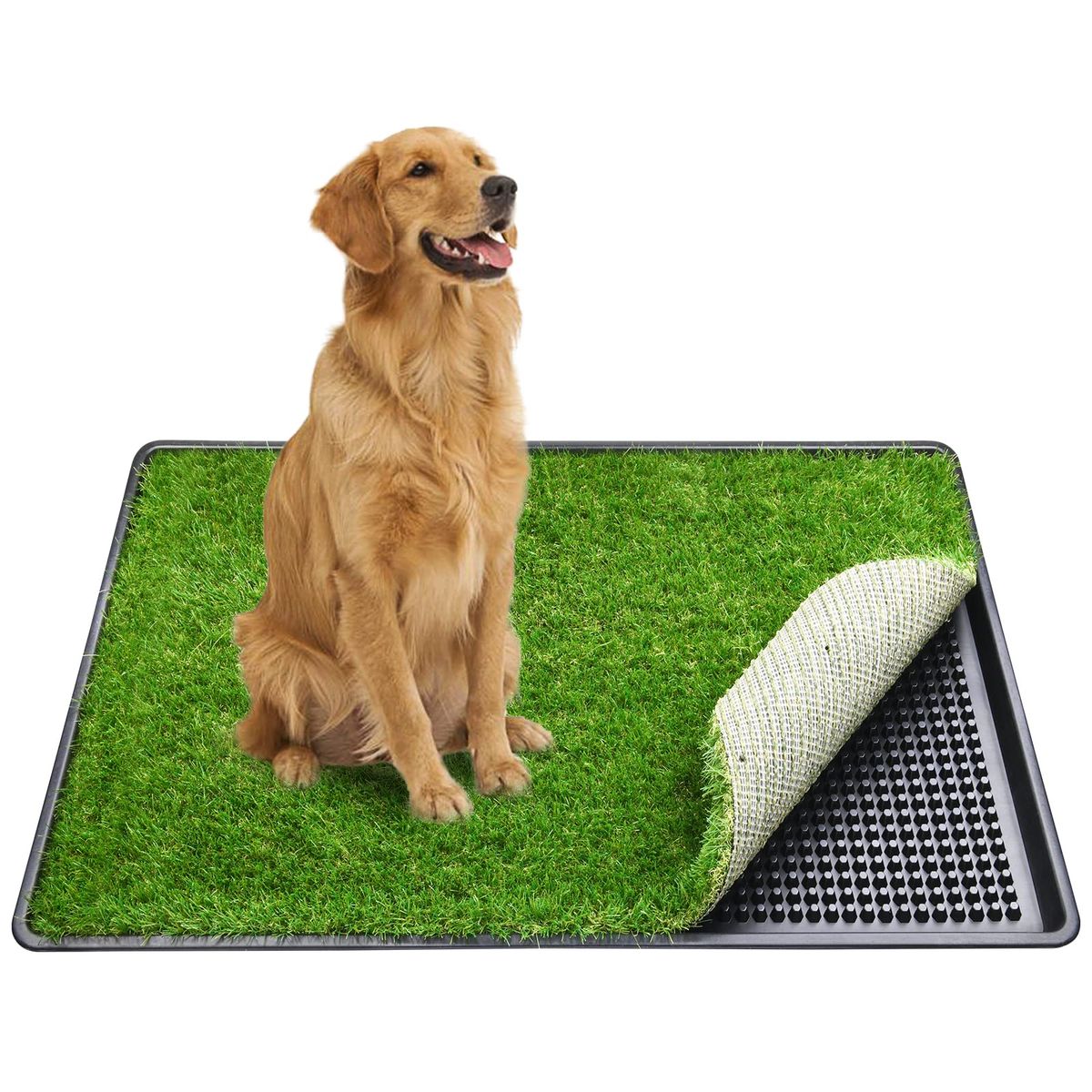 MOVI - Baño para Mascotas XXL Pet Potty