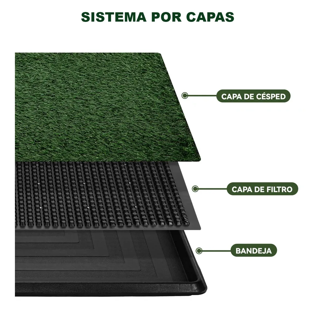 MOVI - Baño para Mascotas XXL Pet Potty