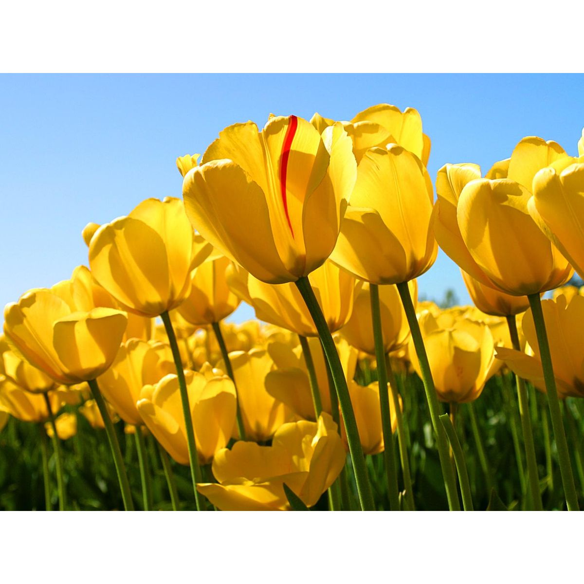 BOSCH - Producto prueba 85634797063o