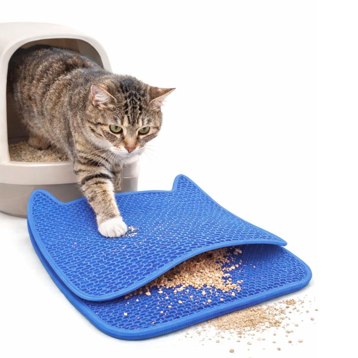 GENERICO - Alfombra para Arena de Gatos Doble Capa 65x49 cm - Azul