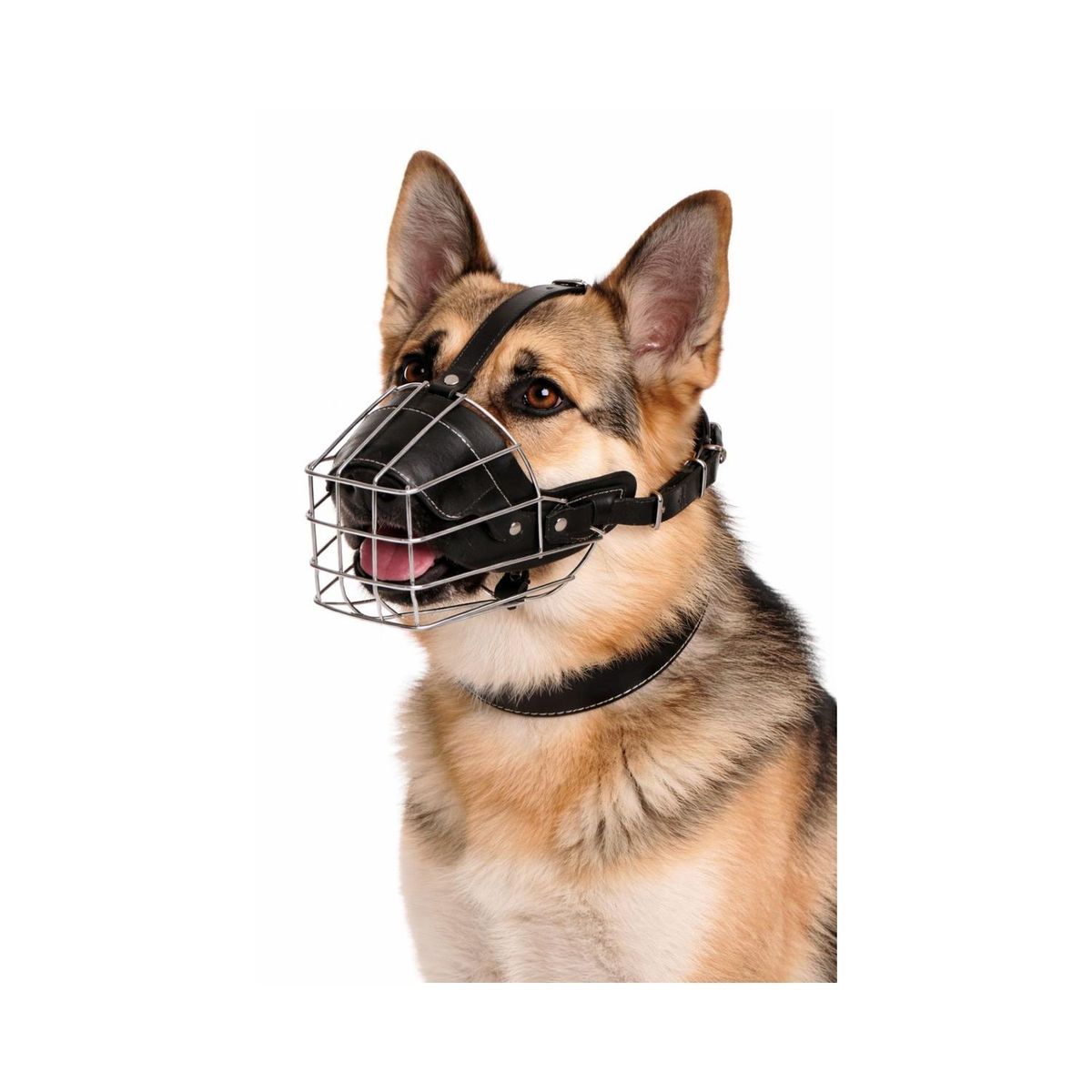GENERICO - Bozal Perro Acero y Cuero Talla L (2) Perros 50 a 70 cm