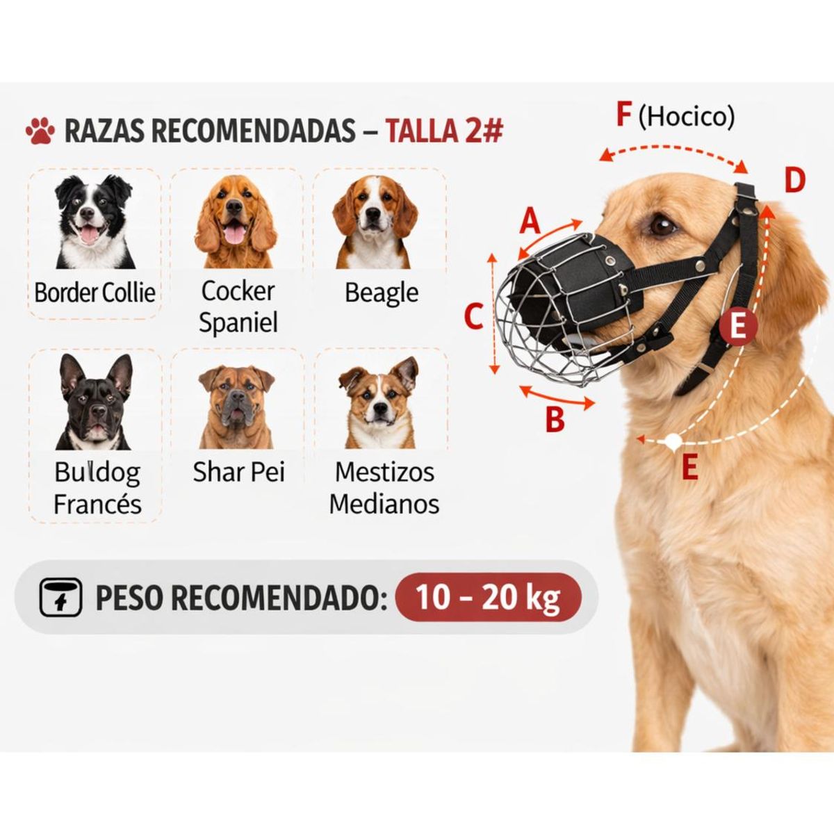 GENERICO - Bozal Perro Acero y Cuero Talla L (2) Perros 50 a 70 cm