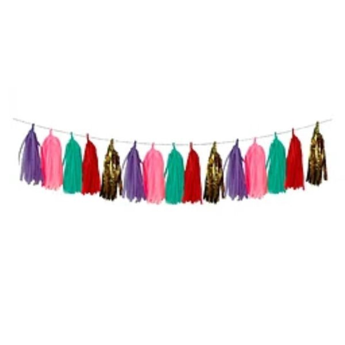 GENERICO - Guirnalda tassel diseño multicolor 3m