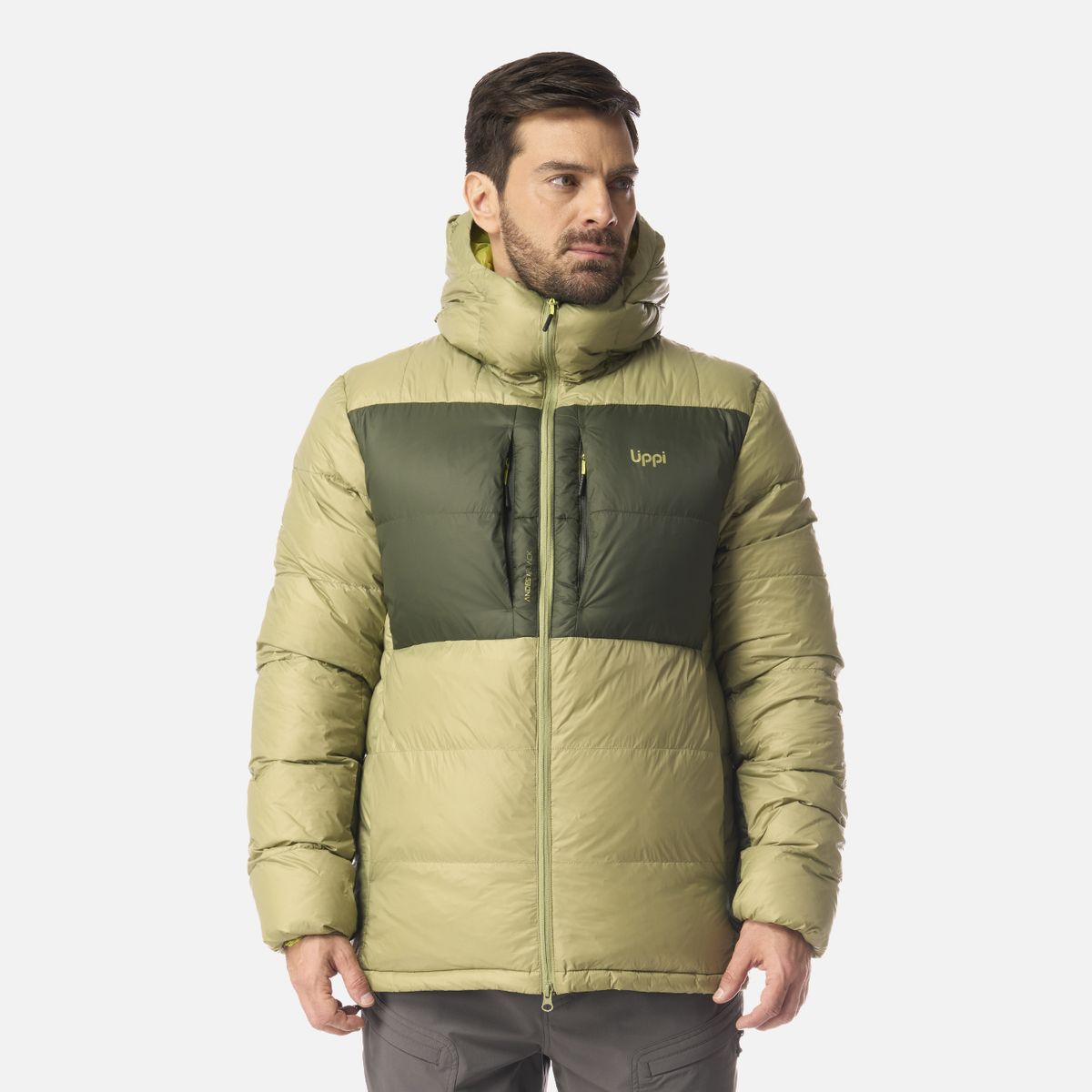 LIPPI - Chaqueta Hombre Reichert Down Hoody Jacket Verde Lippi