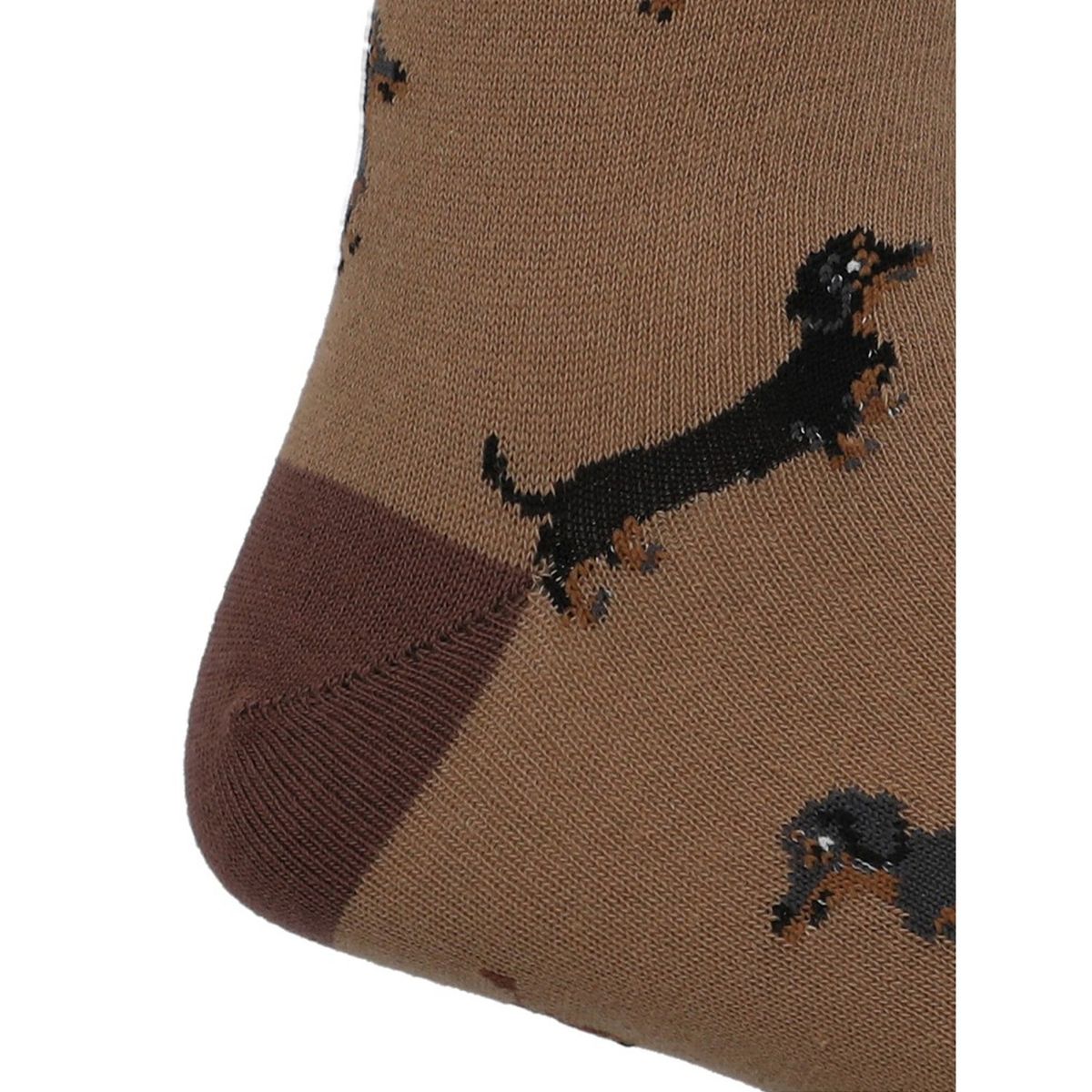 HUSH PUPPIES - Calcetín Algodón Hombre C Cuff Dachshnd Café HUSH PUPPIES
