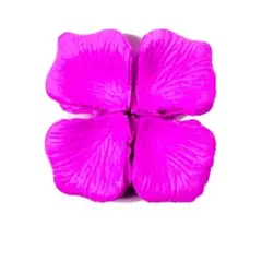 SUI GENERIS - Pétalos de rosa purpura 5x6cm