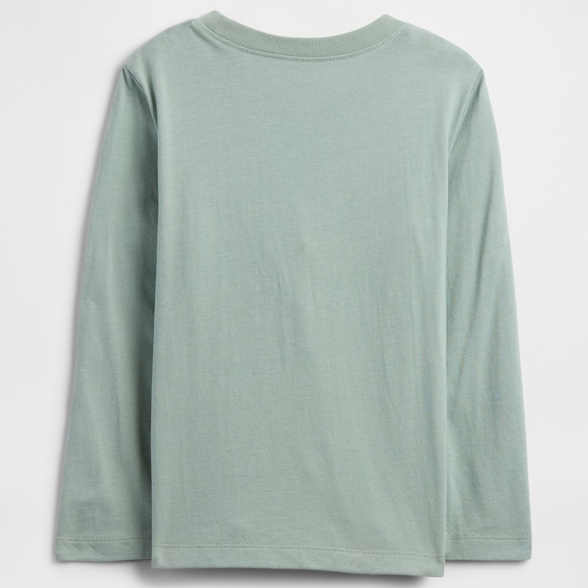 GAP - Polera Toddler Niño Gap Manga Larga Graficas Verde