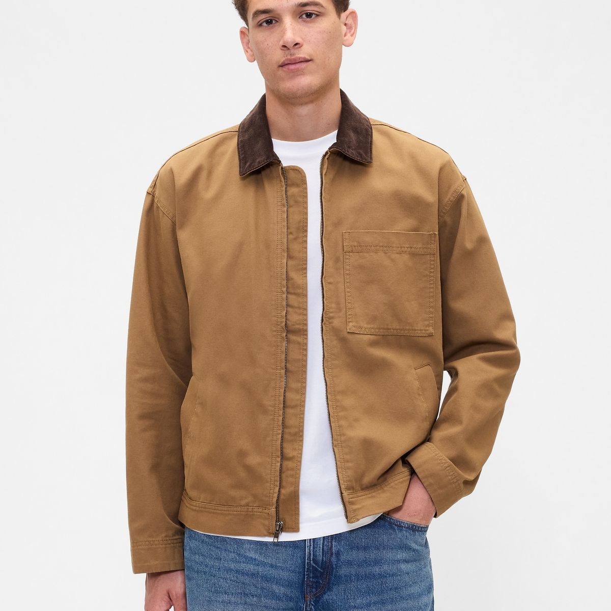 GAP - Chaqueta Hombre Gap Café