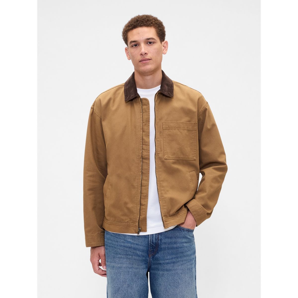 GAP - Chaqueta Hombre Gap Café