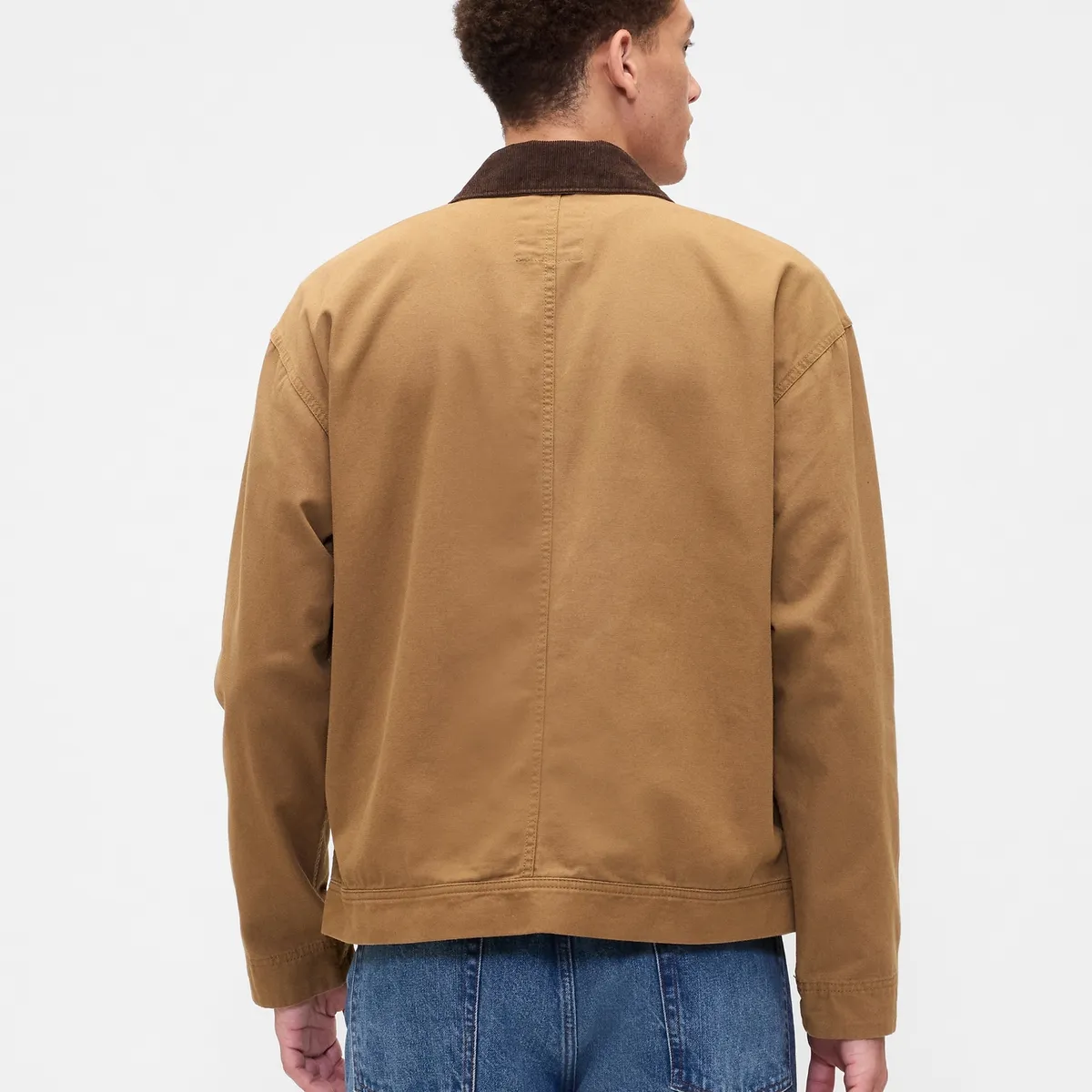 GAP - Chaqueta Hombre Gap Café
