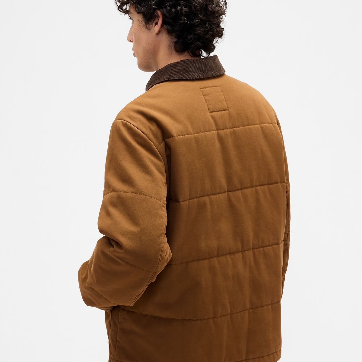 GAP - Chaqueta Hombre Café Gap