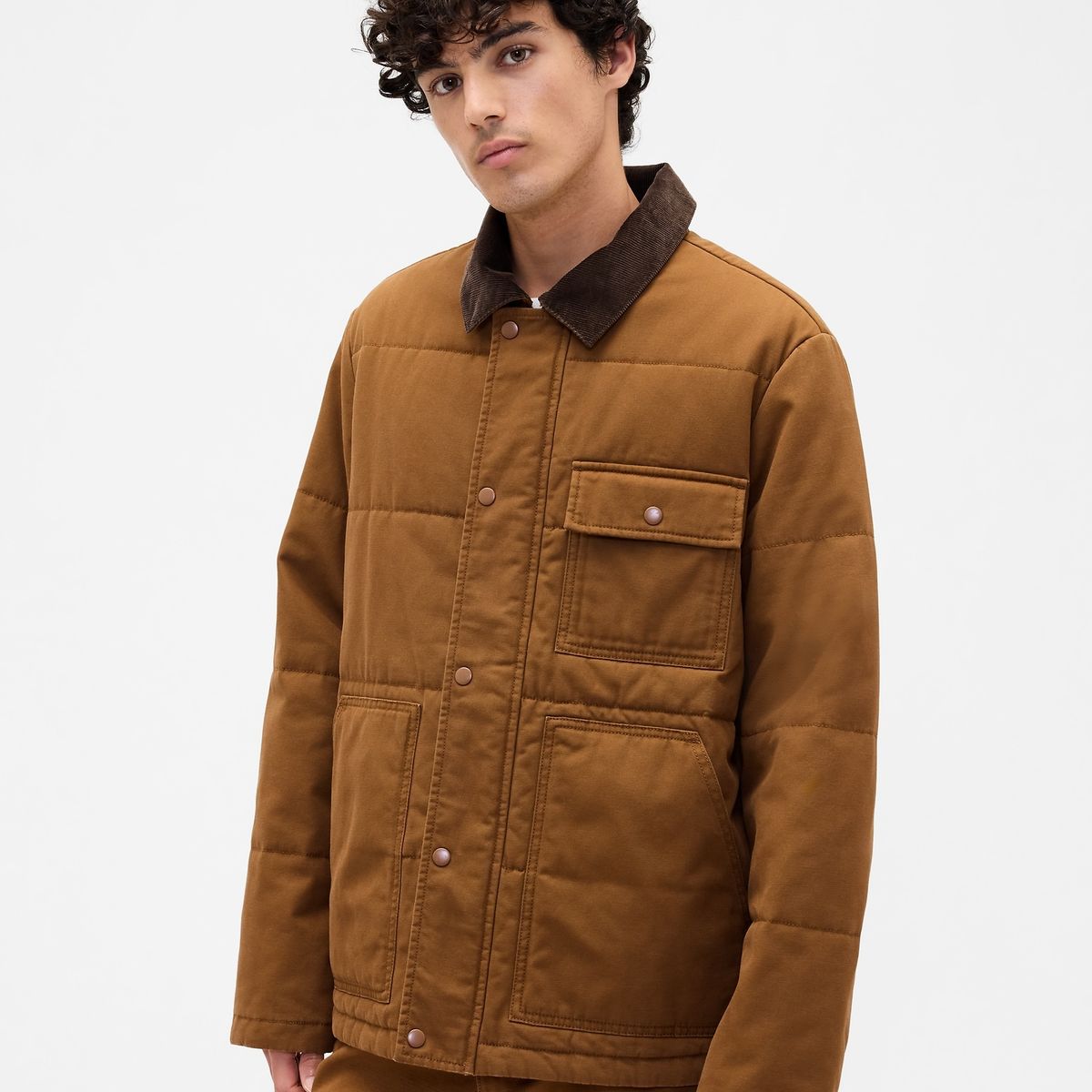 GAP - Chaqueta Hombre Café Gap