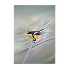 GENERICO - Obra original de Marco Antonio Díaz Colección de Autor Díaz de la Plata Studio - Junquillo 2