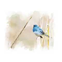 GENERICO - Obra original de Marco Antonio Díaz Colección de Autor Díaz de la Plata Studio - Junquillo 1