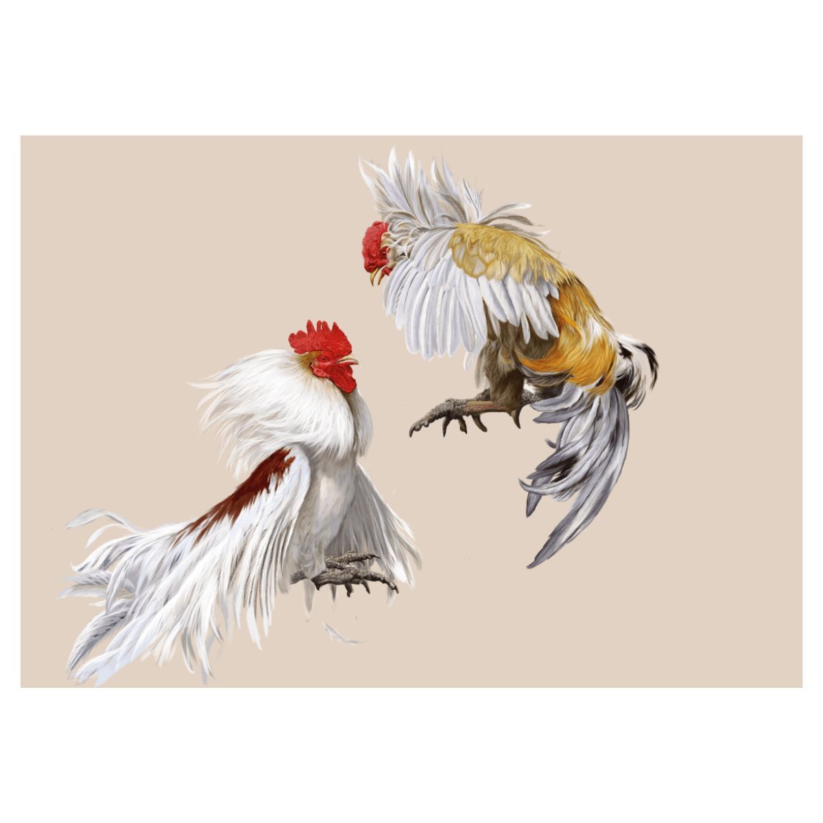 GENERICO - Colección de Autor - Díaz De La Plata Studio - Gallos De Pelea