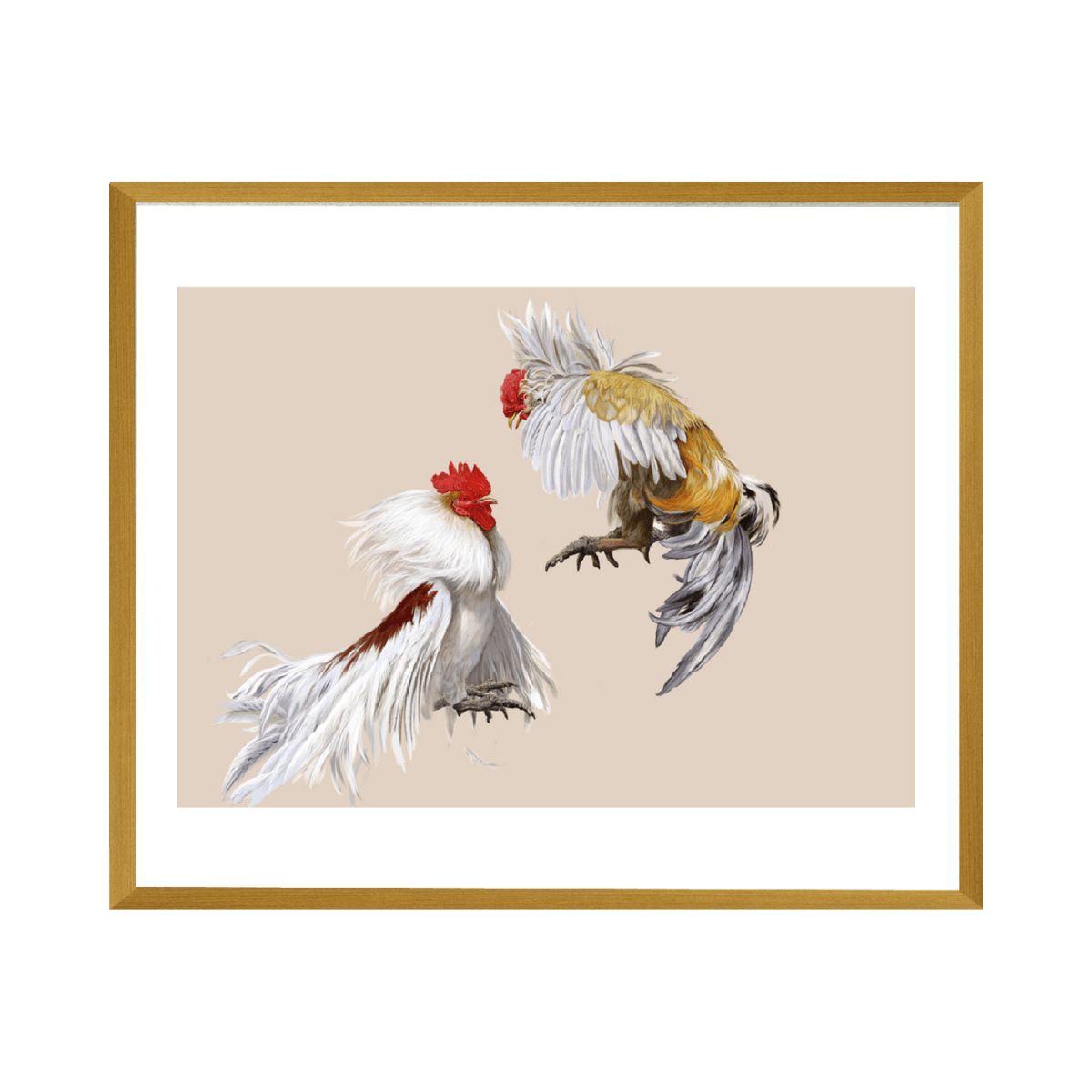 GENERICO - Colección de Autor - Díaz De La Plata Studio - Gallos De Pelea