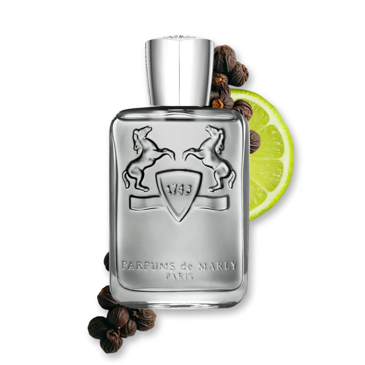 PARFUMS DE MARLY - Parfums De Marly Castley Edp 125ml Hombre
