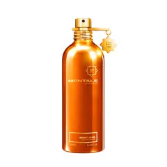 MONTALE PARIS - Montale Honey Aoud 100ml Unisex