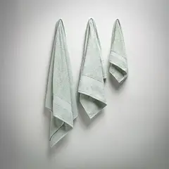 ROSEN - Toalla Lisa Basic Sábana 500 Gramos Salvia