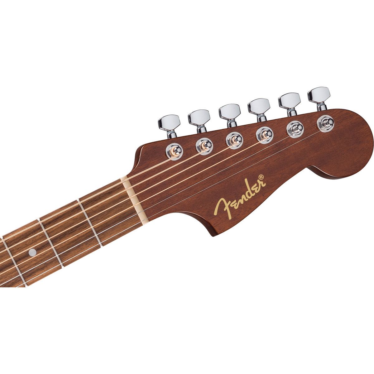FENDER - Guitarra Acústica Fender California Standard Redondo Black