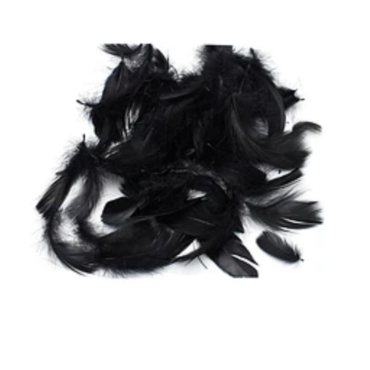GENERICO - Plumas color negro 100pcs