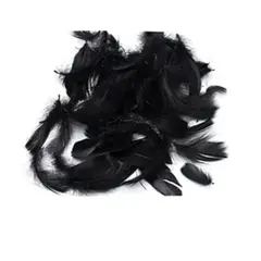 GENERICO - Plumas color negro 100pcs