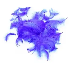 GENERICO - Plumas decorativas azul 100pcs