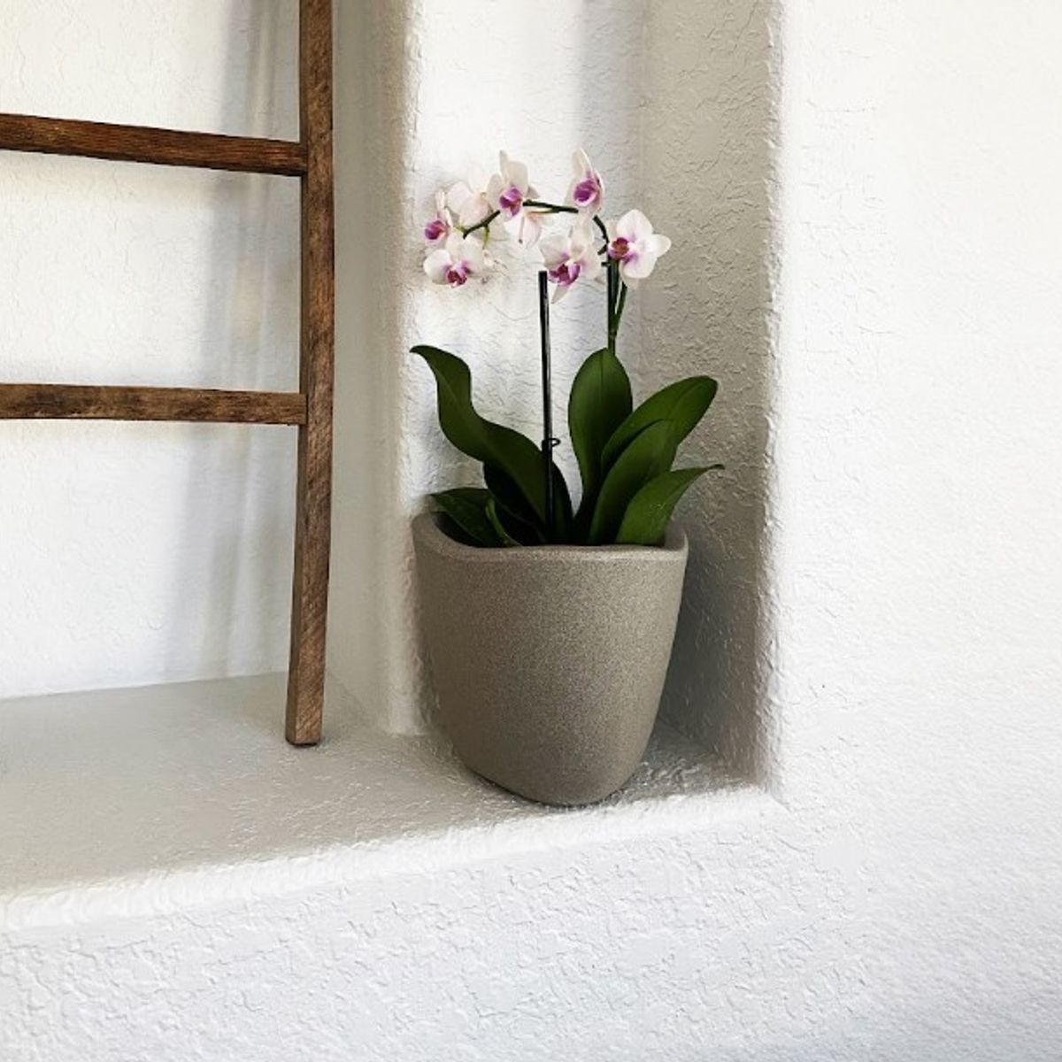 FLORIDIS - MACETERO CEMENTO MODELO TRYAS JARDIN 18CM ALTO