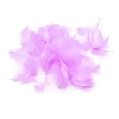 GENERICO - Plumas decorativas purpura 100pcs