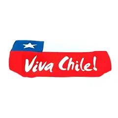 IMPORTCLICK - Cubre Capot Bandera Chilena Elástica Viva Chile