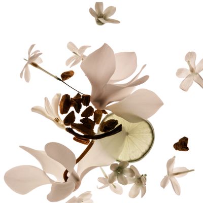 Imagen 2 del producto Travel Size Missing Person Eau de Parfum - 9ml