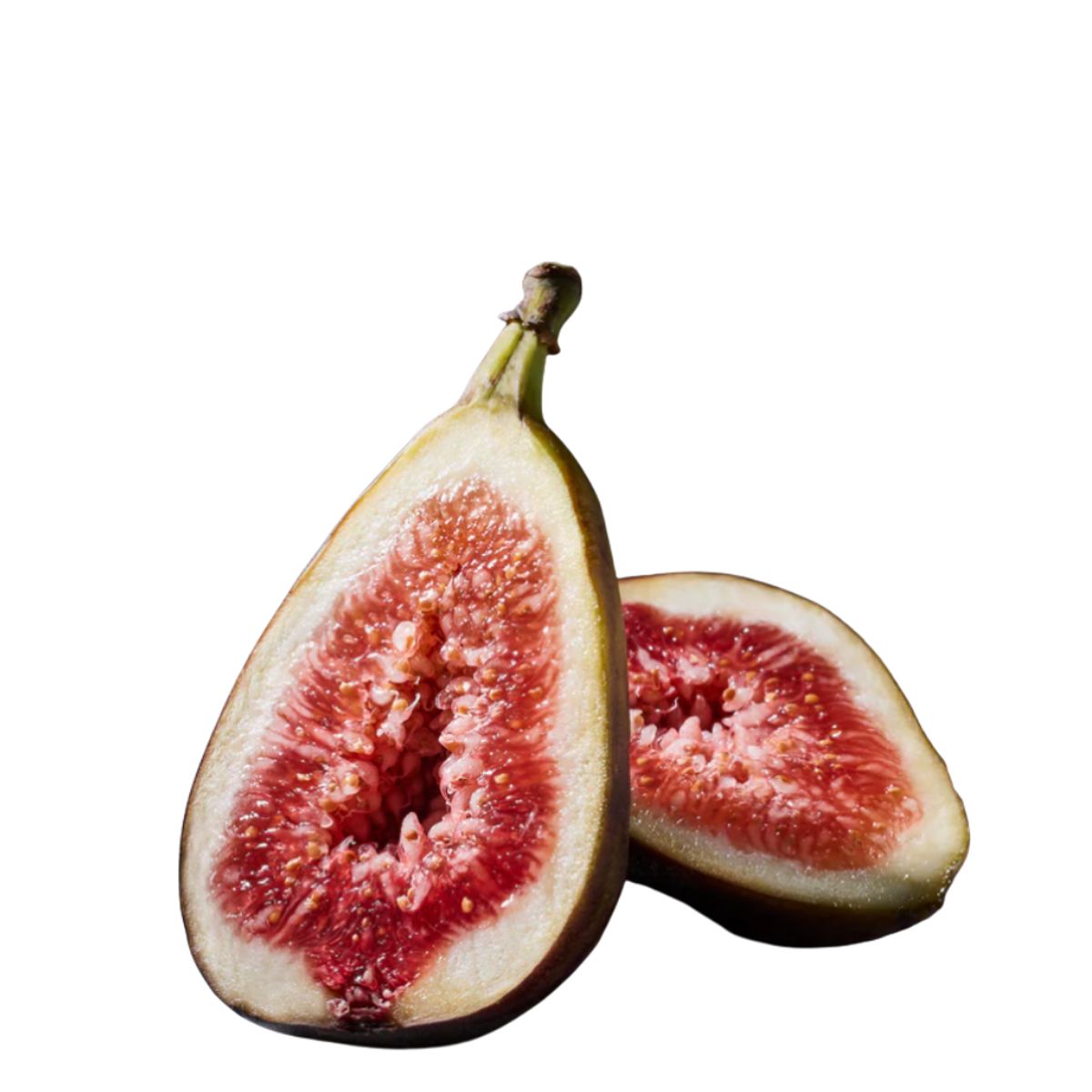 PHLUR - Travel Size Father Figure Eau de Parfum - 9ml Phlur