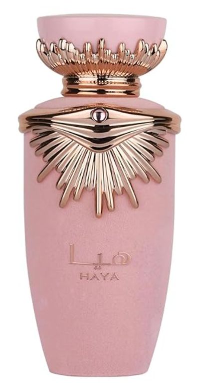 Spray Haya Eau De Parfum para Mujeres 100 ml 100 ML