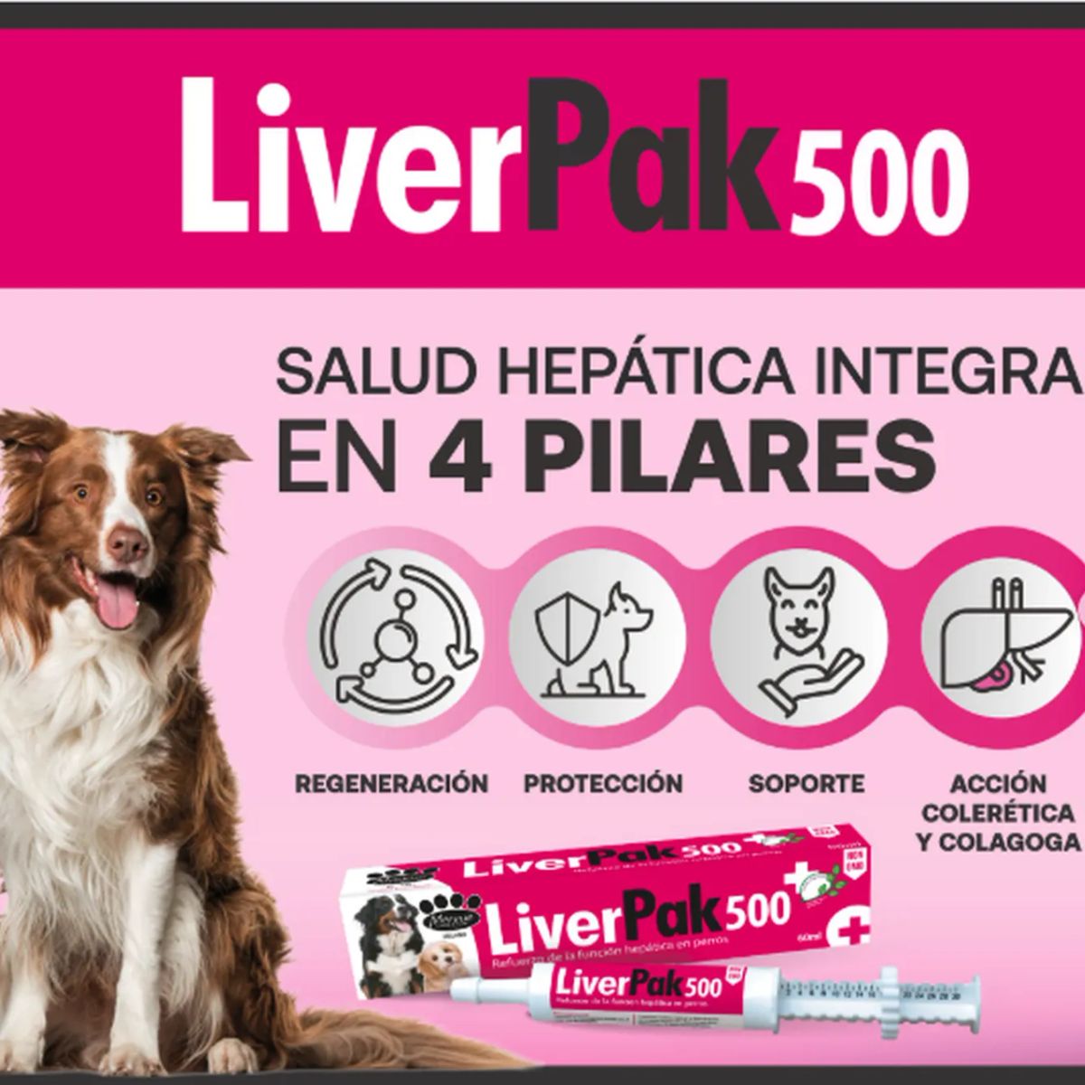 GENERICO - Liverpak500 Suplemento Protector Hepático Perro Jeringa 60ml