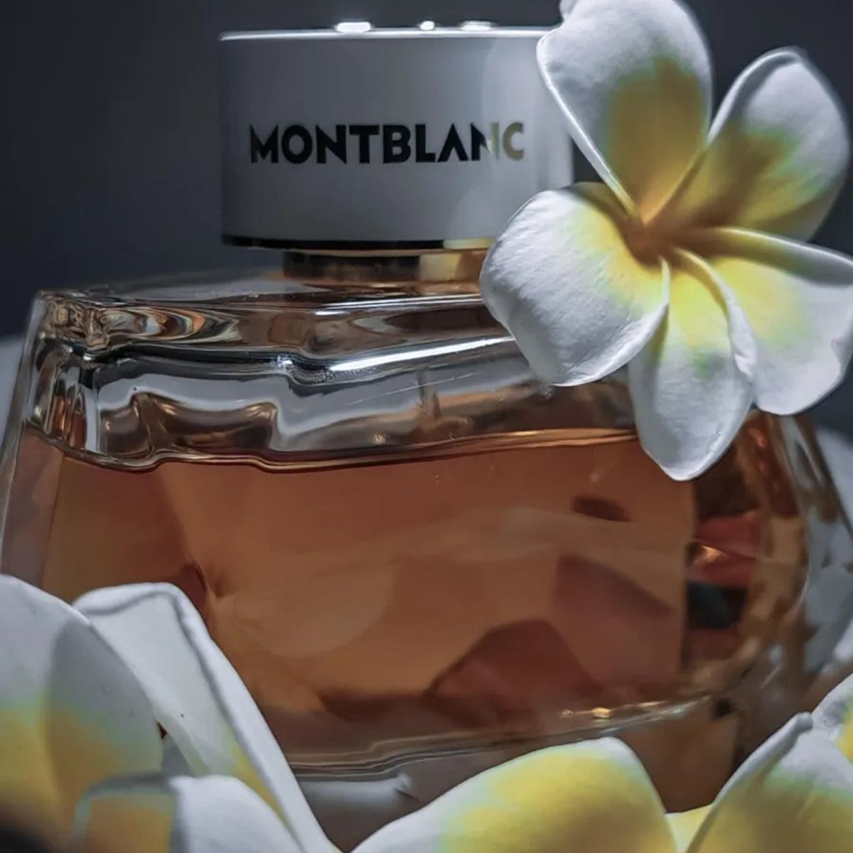 MOSCHINO - Perfume Mujer Montblanc Signature Absolue EDP 90 ML