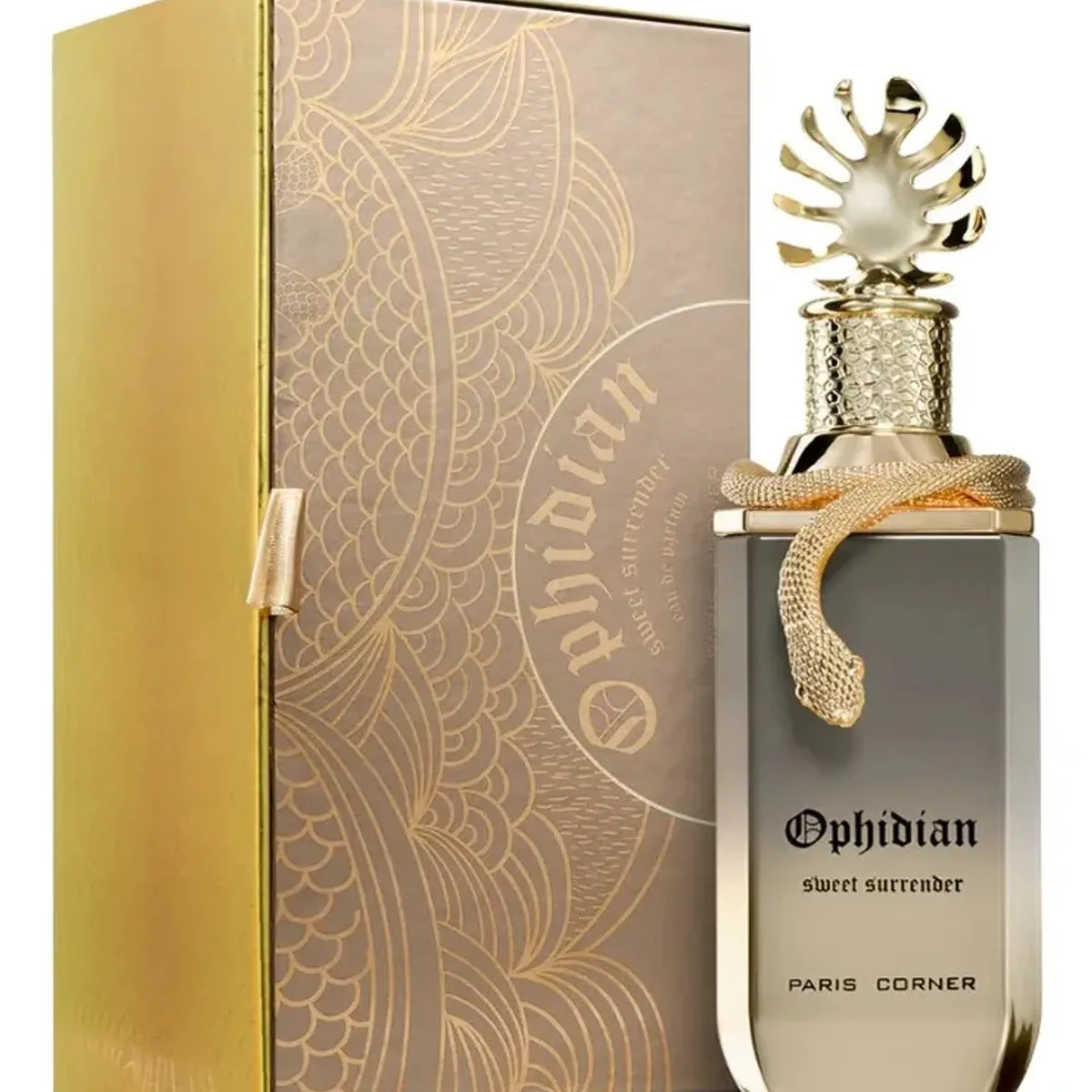 PARIS CORNER - Perfume Paris Corner Ophidian Sweet Surrender EDP 100 ML