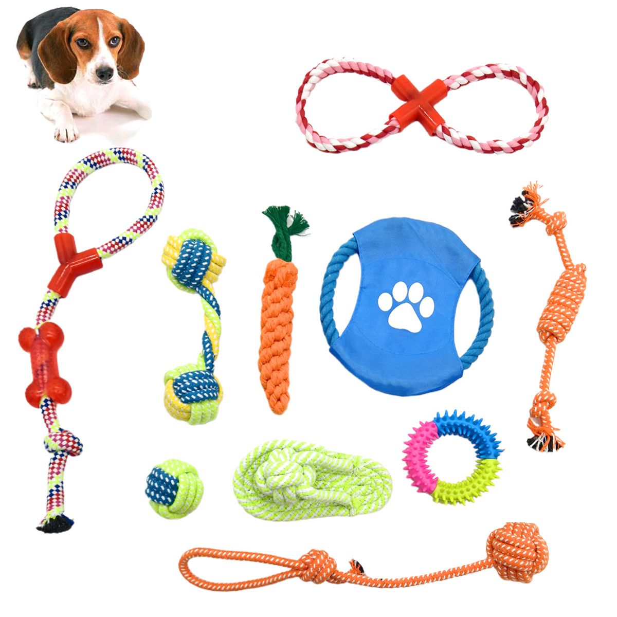 GENERICO - Set De 10 Juguetes Para Perros Pelota De Cuerda Disco Y Más