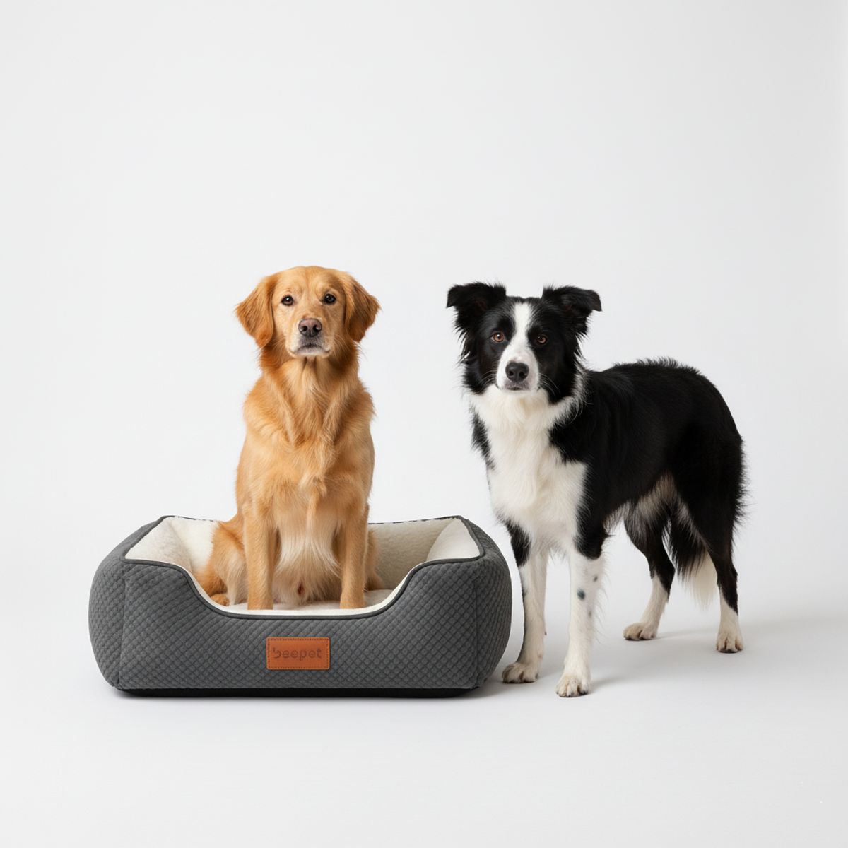 BEBESIT - Cama para Mascotas Pawzen Ortopédica M70x50