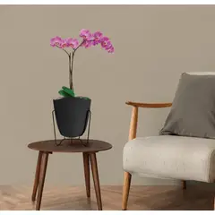 FLORIDIS - MACETERO NEGRO MODELO TRYAS SOPORTE METAL 18CM ALTO
