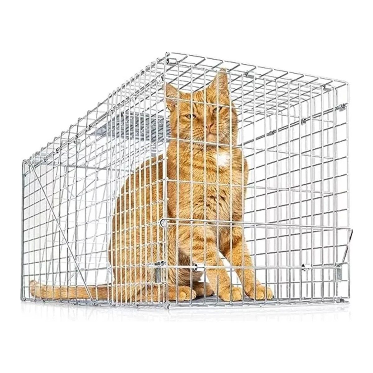 GENERICO - Jaula Trampa Para Captura Gatos 36x34x94cm BELUG