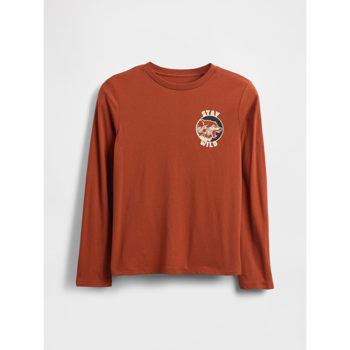 GAP - Polera Niño Manga Larga Graficas Naranjo Naranjo Gap