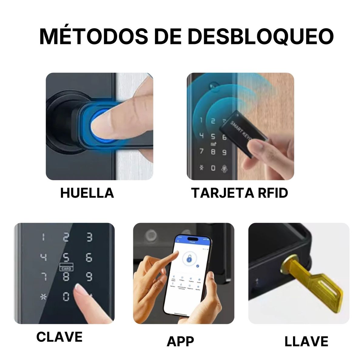 LYON - Cerradura Inteligente Digital Apolo con Huella y clave