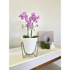 FLORIDIS - MACETERO BLANCO MODELO TRYAS SOPORTE METAL 18CM ALTO