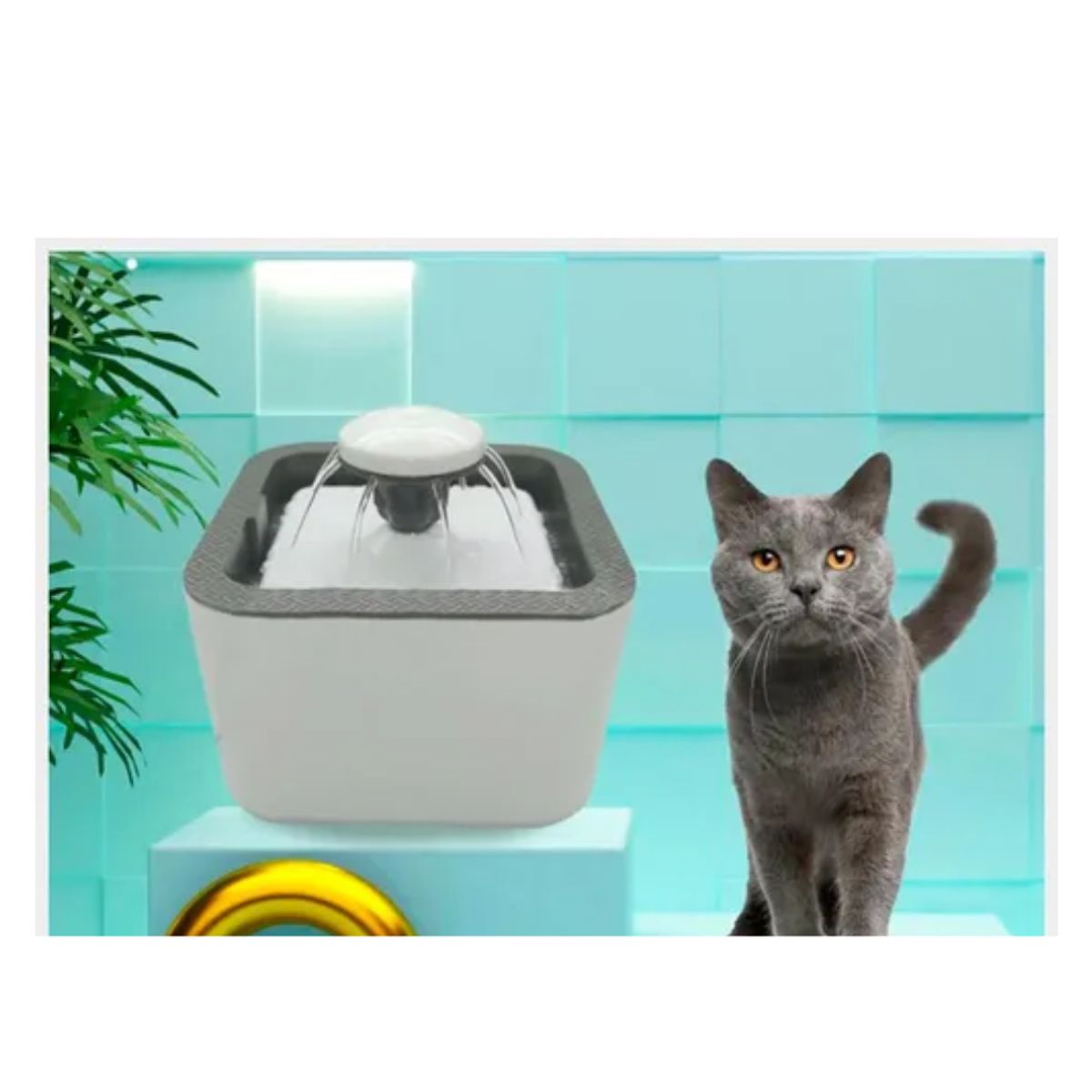 GENERICO - Fuente De Agua Para Gatos Perros Bebedero Para Mascotas