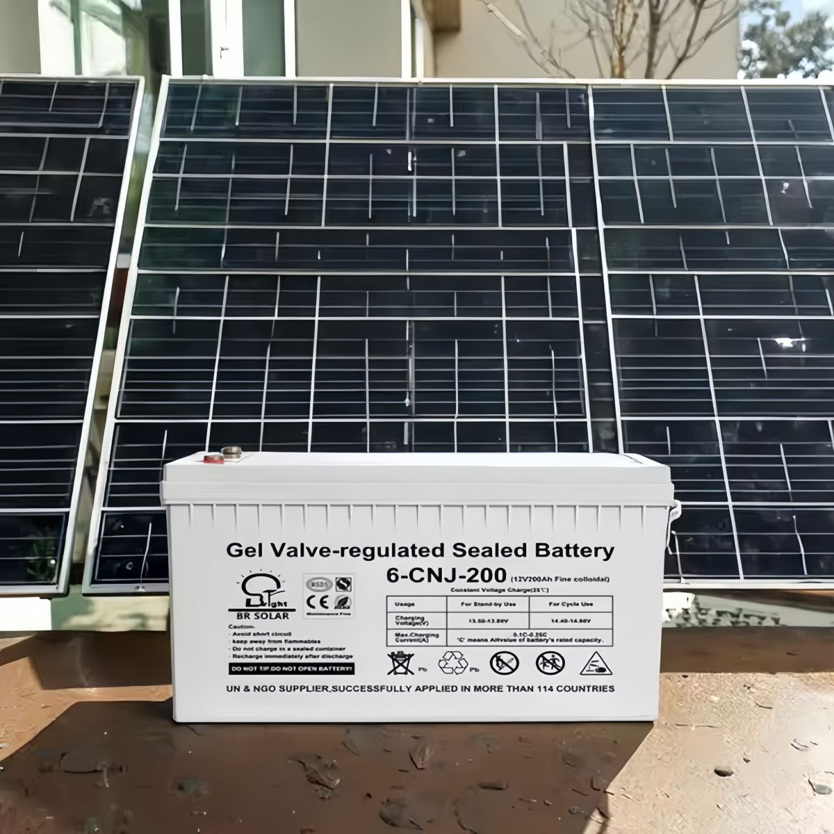 VIDA BUENAS - Bateria Ciclo Profundo 12v 200 Amp Baterias Para Panel Solar