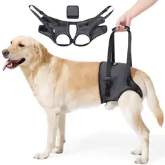KINDA NICE - Correa De Soporte Para Patas Traseras-perros Mayoresheridos S