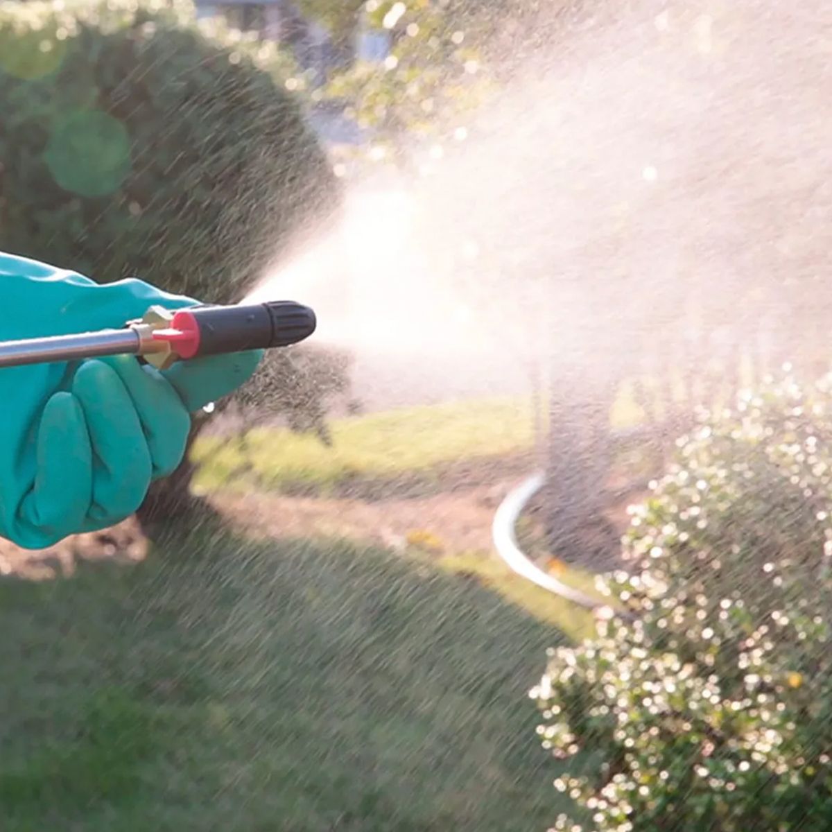 MAKITA - Fumigador De Jardín 5Lts 18v Makita DUS054Z