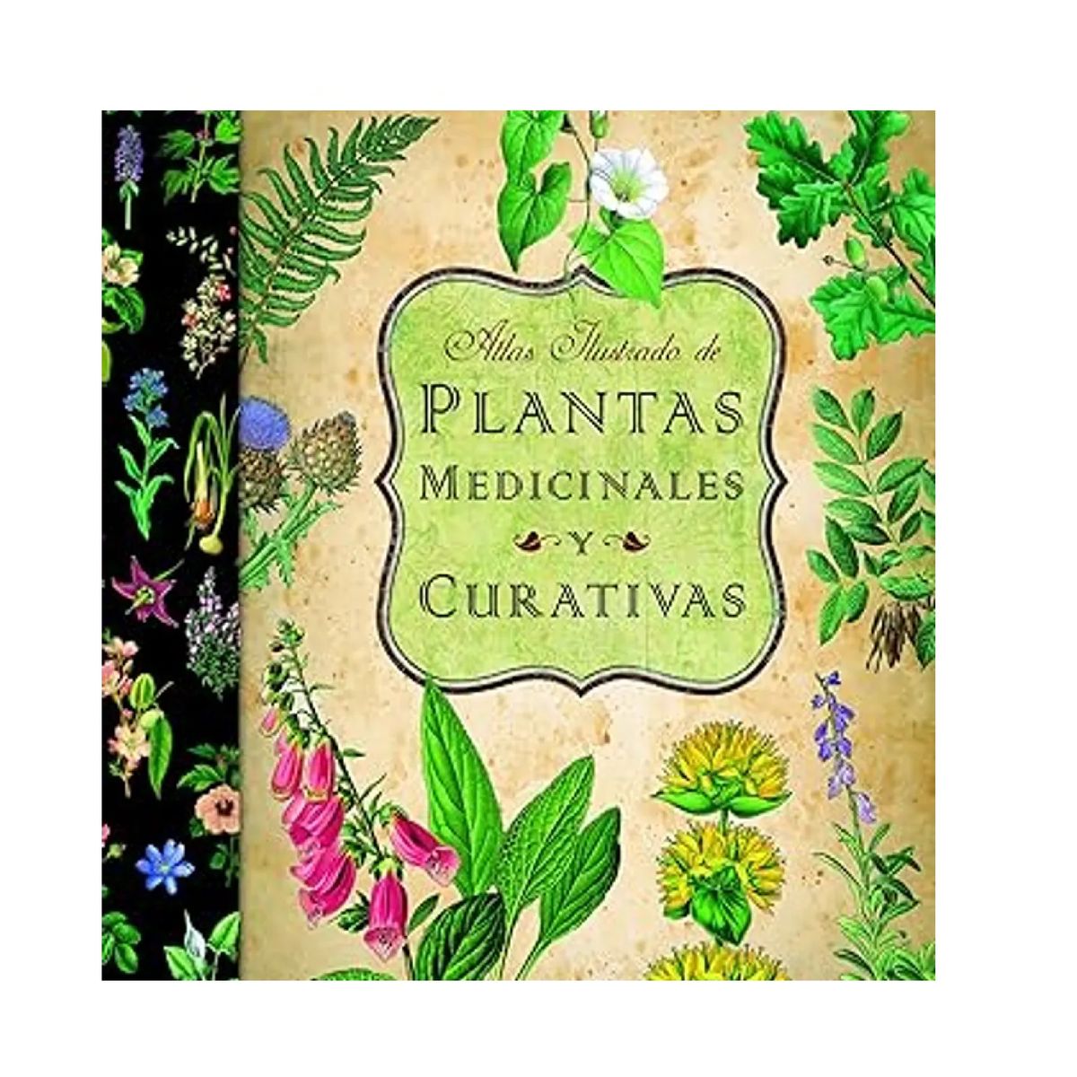 LEXUS - Atlas ilustrado de plantas medicinales y curativas