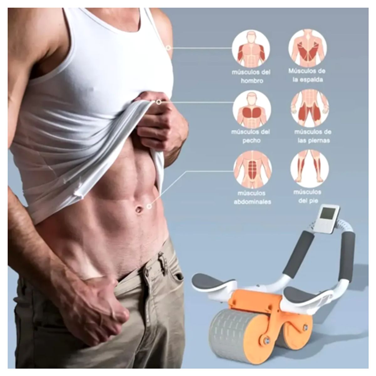 MOVI - Rueda abdominal Profesional con soporte para brazos