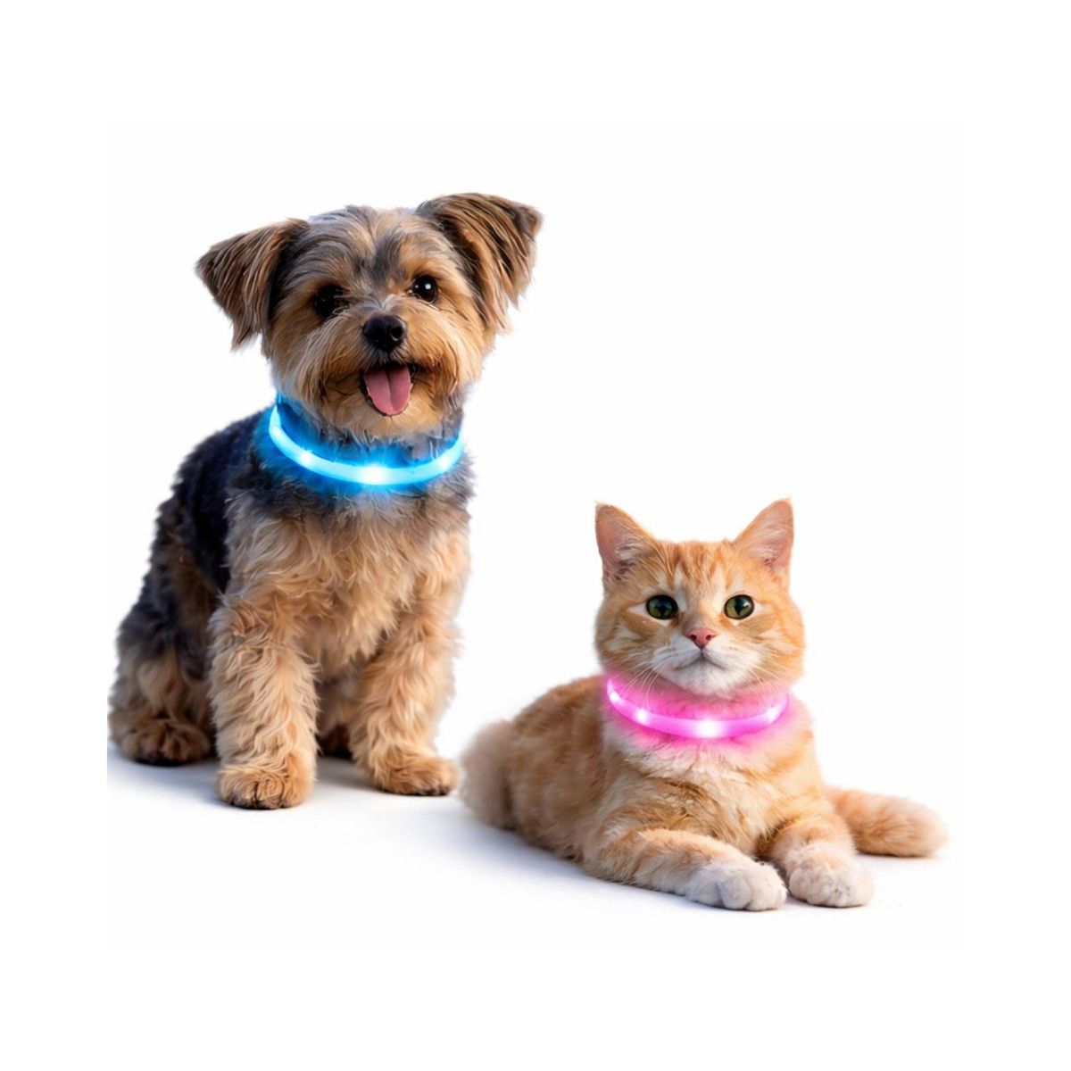 GENERICO - Collar LED Perro USB Recargable 39 cm 3-12 kg - Amarillo
